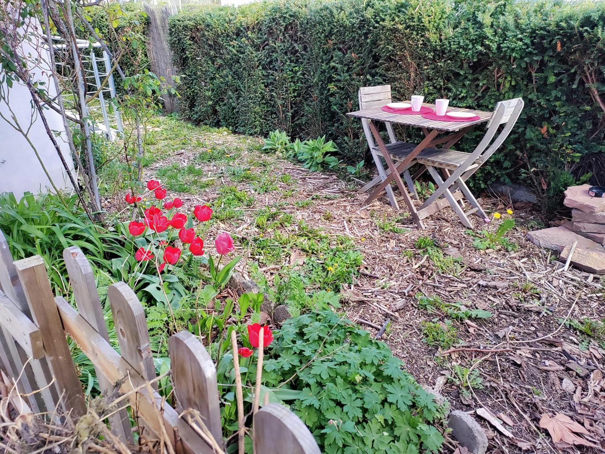 Les Coquelicots, Calme, Jardin Daire Colmar Dış mekan fotoğraf